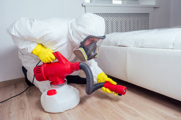 Best Bed Bug Extermination  in Winnfield, LA